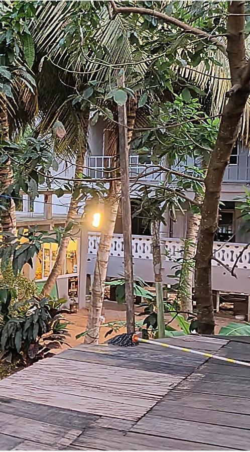 Scorpion Hill Lodge Busua Exterior foto